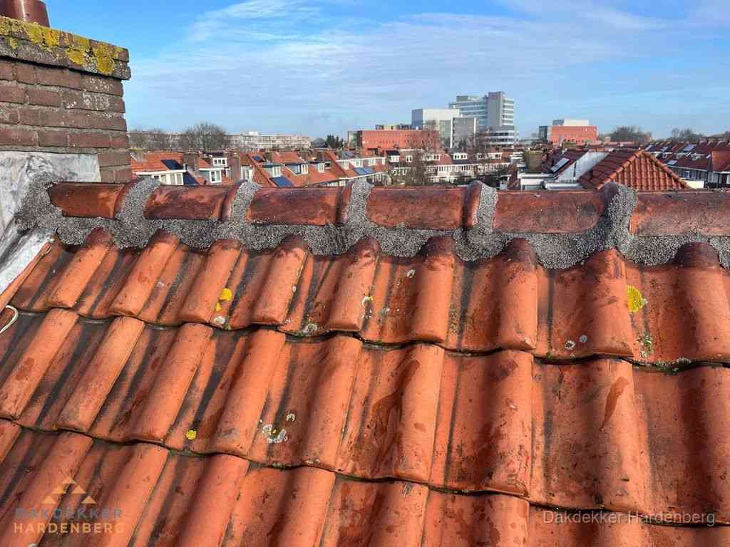 Nieuw bitumen plat dak met uitzicht over woonwijk in Hardenberg