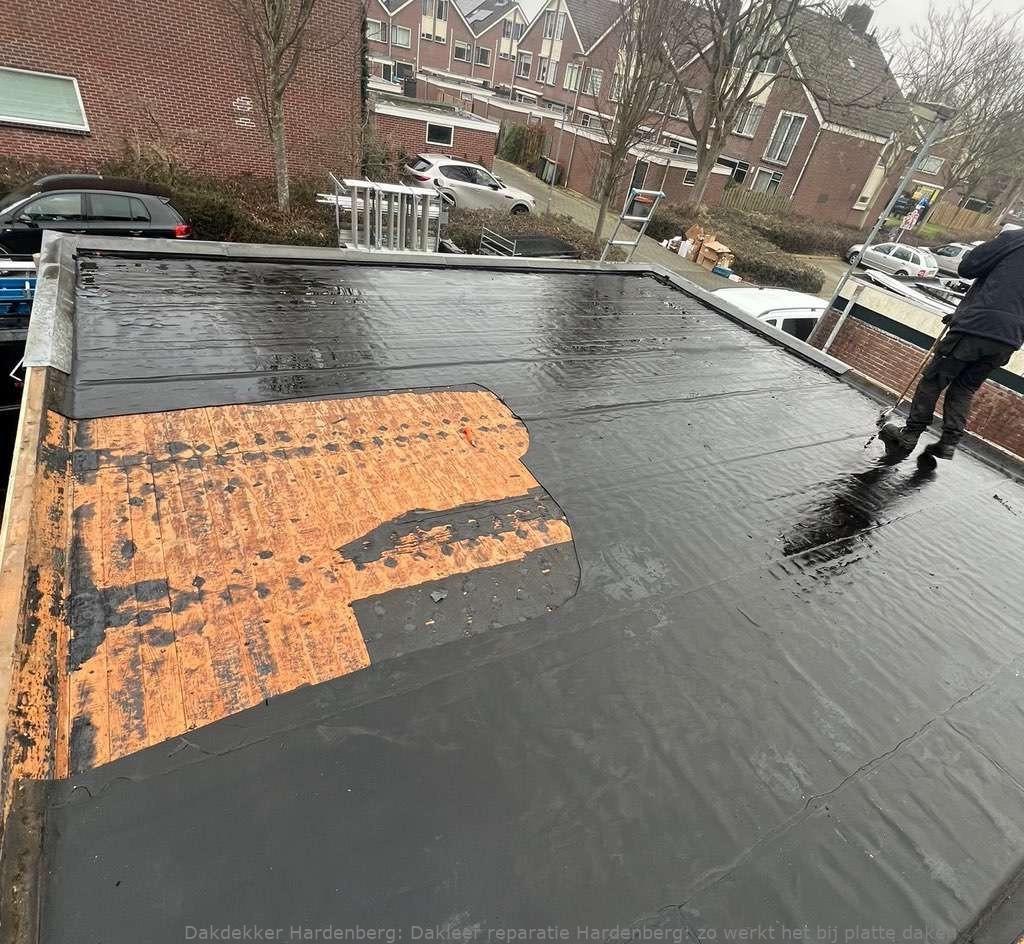 Dakleer Reparatie Hardenberg