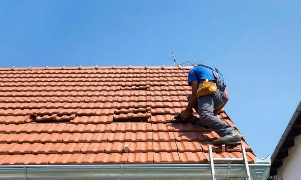 Dakreparatie En Verzekering Hardenberg