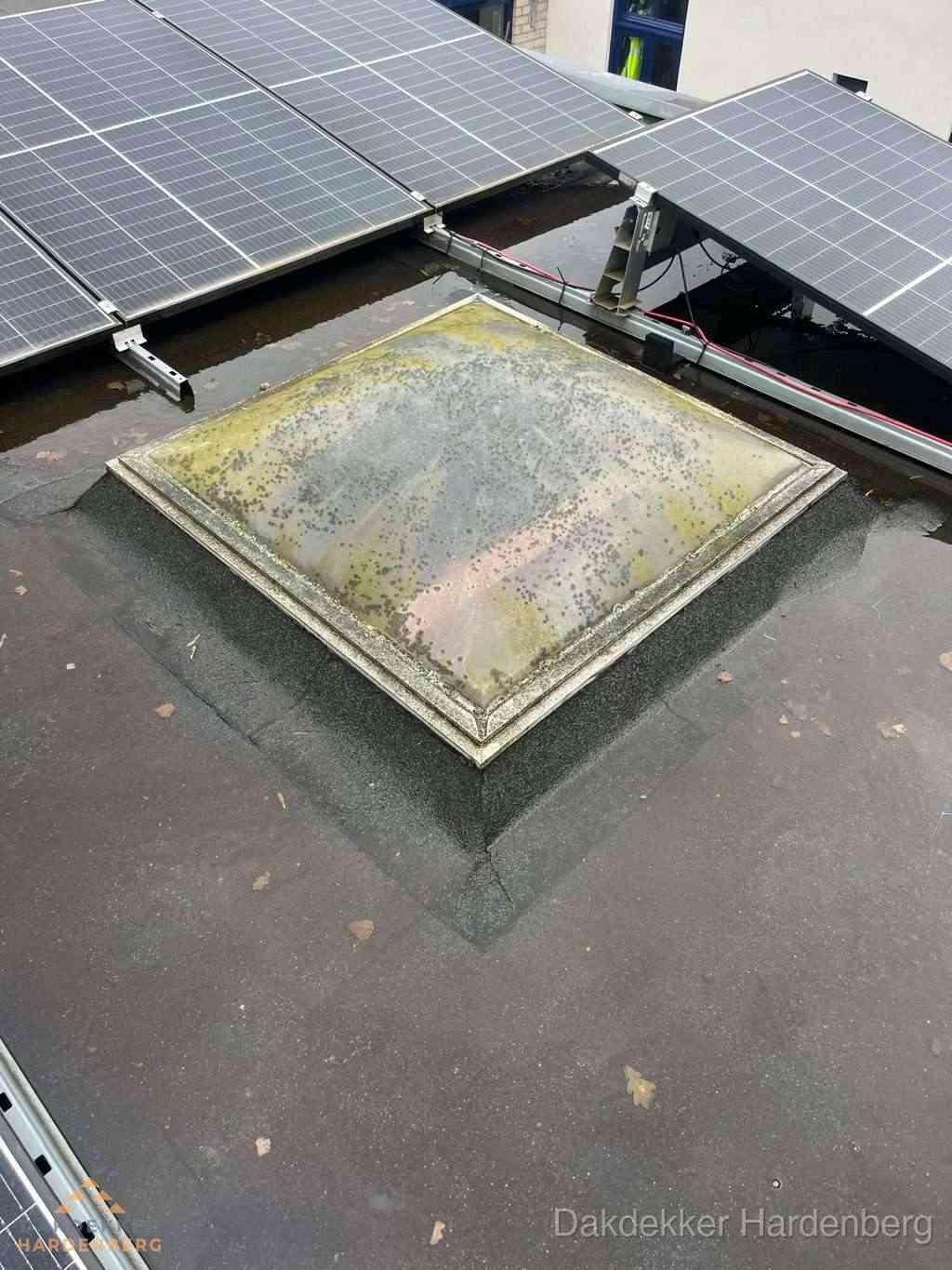 Lichtkoepel Vervuild Plat Dak Hardenberg