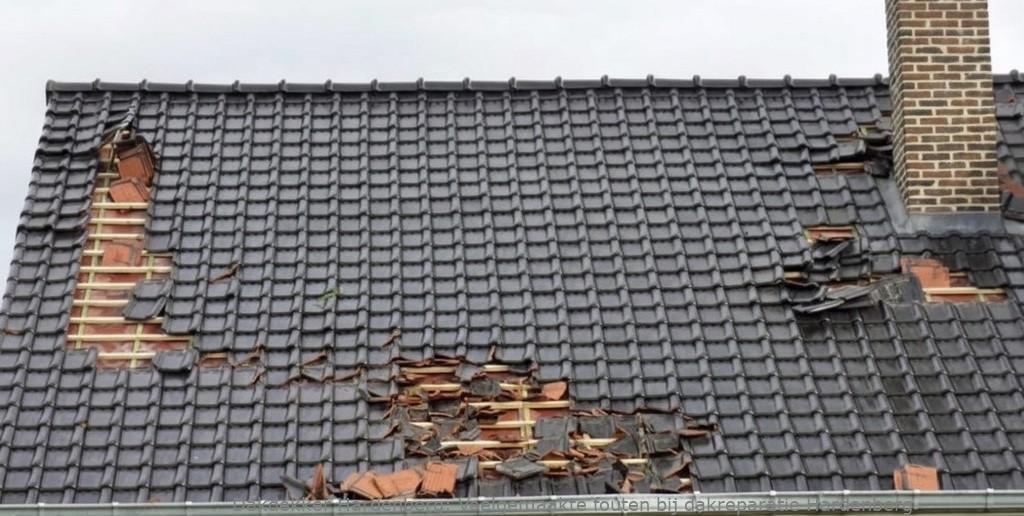 Veelgemaakte Fouten Bij Dakreparatie Hardenberg