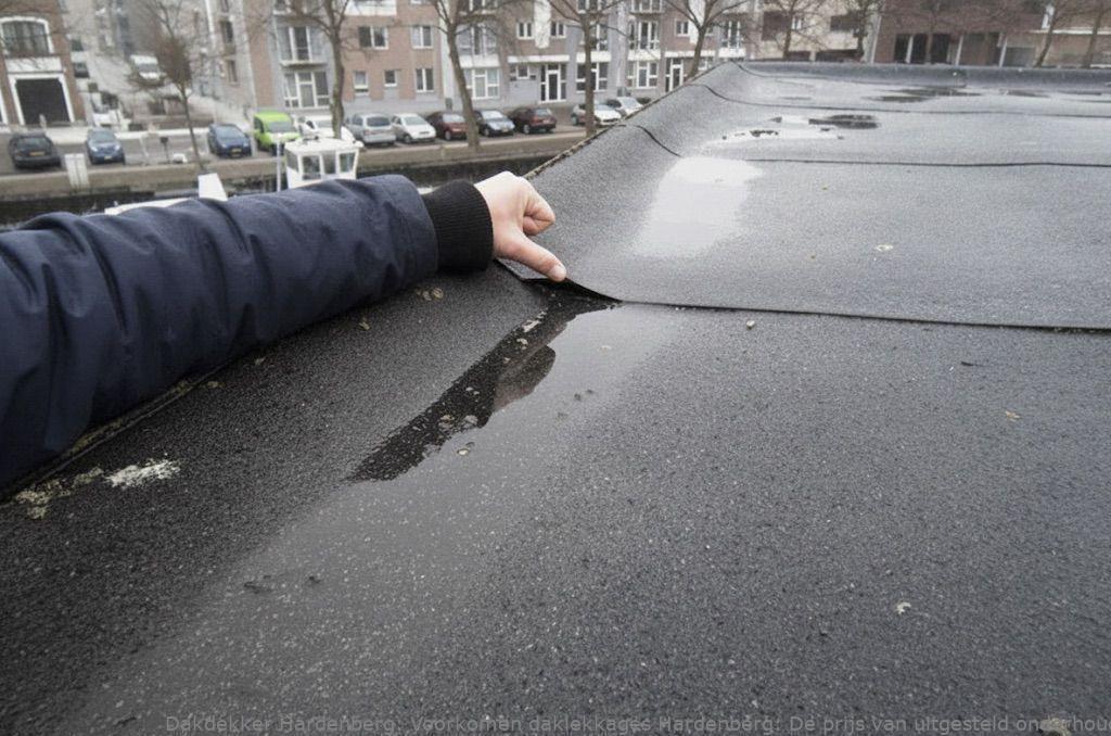 Voorkomen Daklekkages Hardenberg